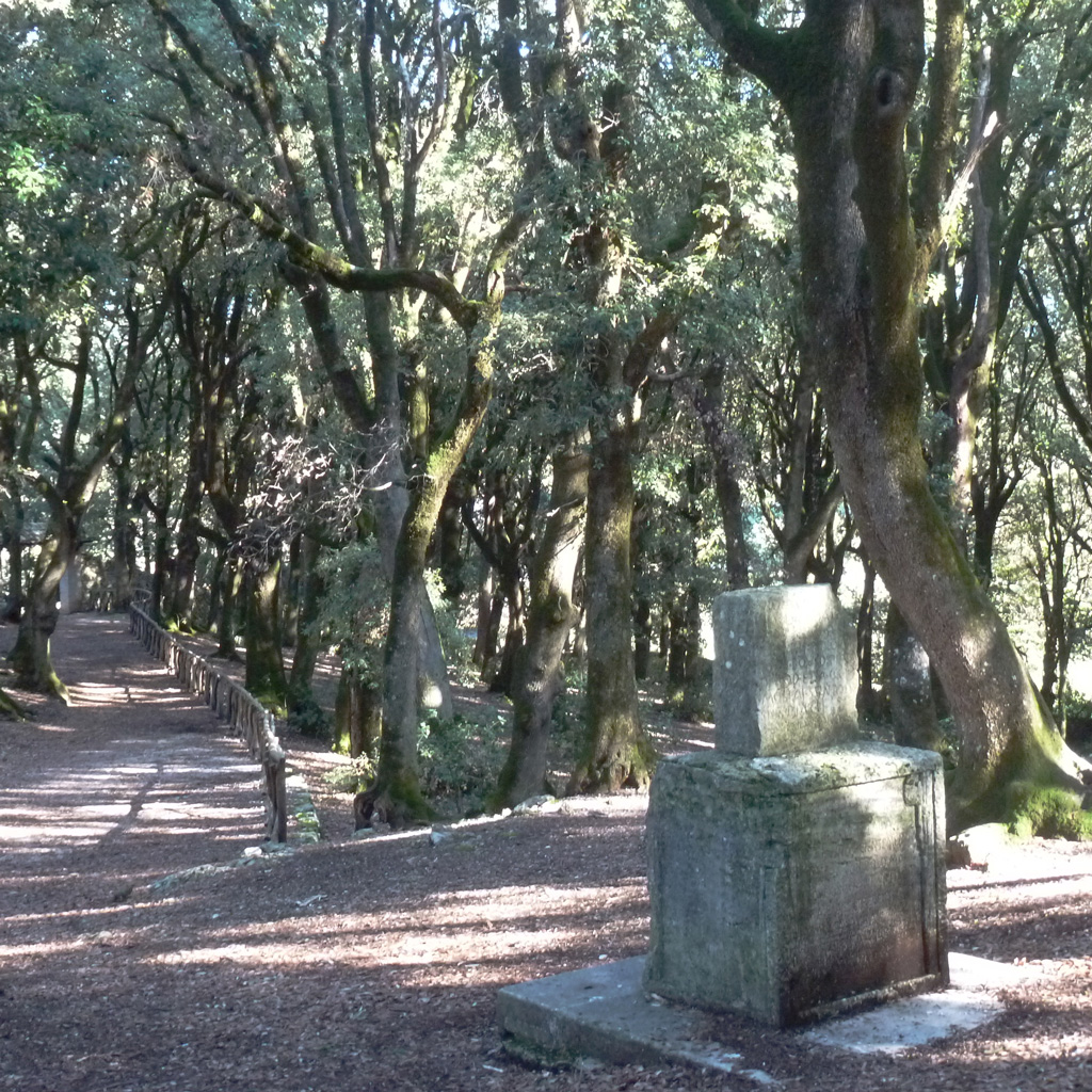 Lex_Luci_Spoletina-Monteluco_di_Spoleto