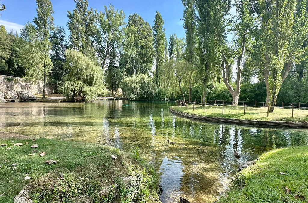 Sentiero 419 SU – Sentiero degli Ulivi