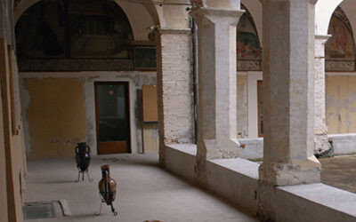 Complesso Museale San Francesco di Trevi e Museo della Civiltà dell’Ulivo