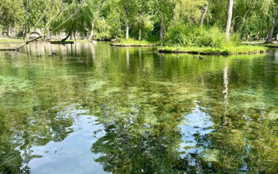 Ecomuseo Campello sul Clitunno